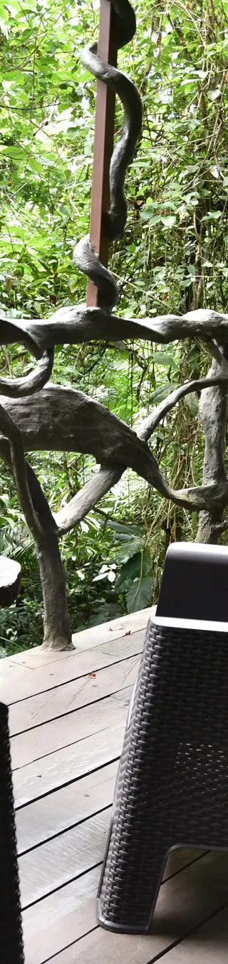 Von den Baumwipfeln aus den Dschungelgeräuschen lauschen